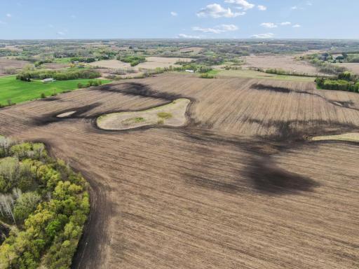 XXXX 285th (180 Acres) Street, Northfield, MN 55057