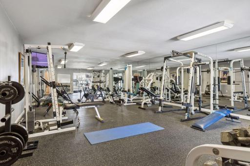 Work out made easy in your personal full-size gym in your lower level