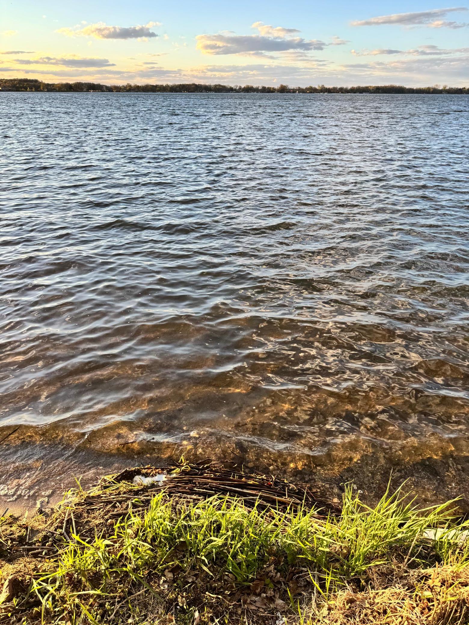 View of the sandy shoreline.