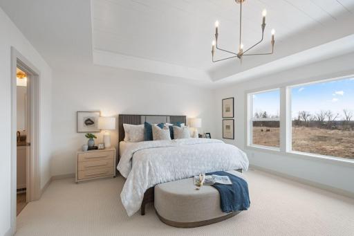 HUGE primary bedroom with box vault ceiling and walk through ensuite to walk-in closet with built-ins