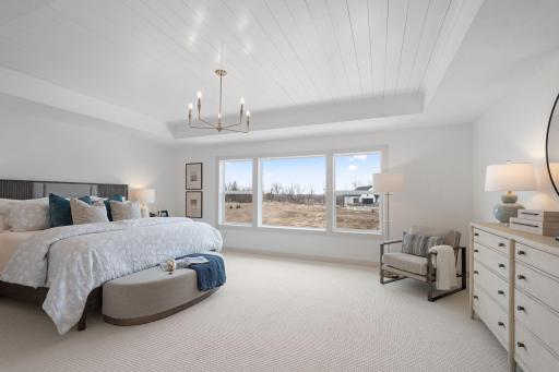 HUGE primary bedroom with box vault ceiling and walk through ensuite to walk-in closet with built-ins