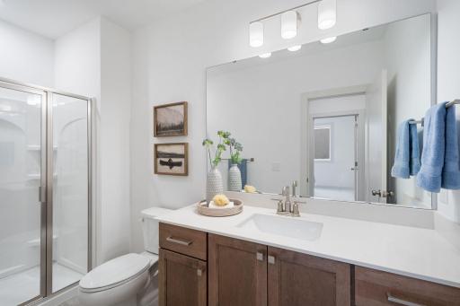 Lower-level 3/4 bathroom