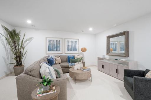 Lower level family room