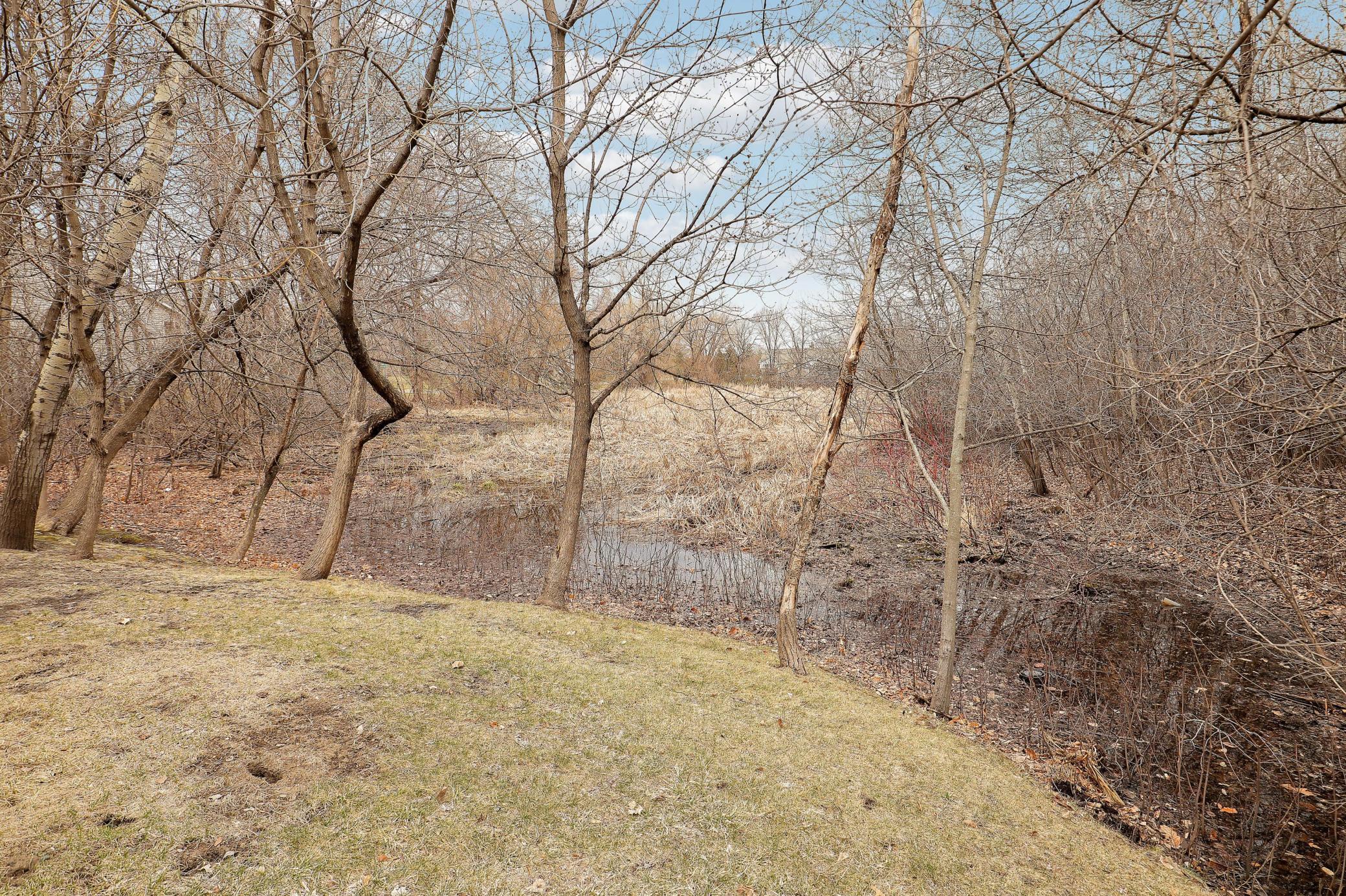Scenic Views in Backyard