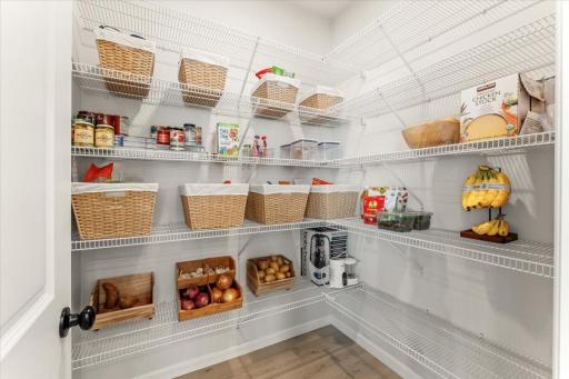 Large pantry for all of your storage needs