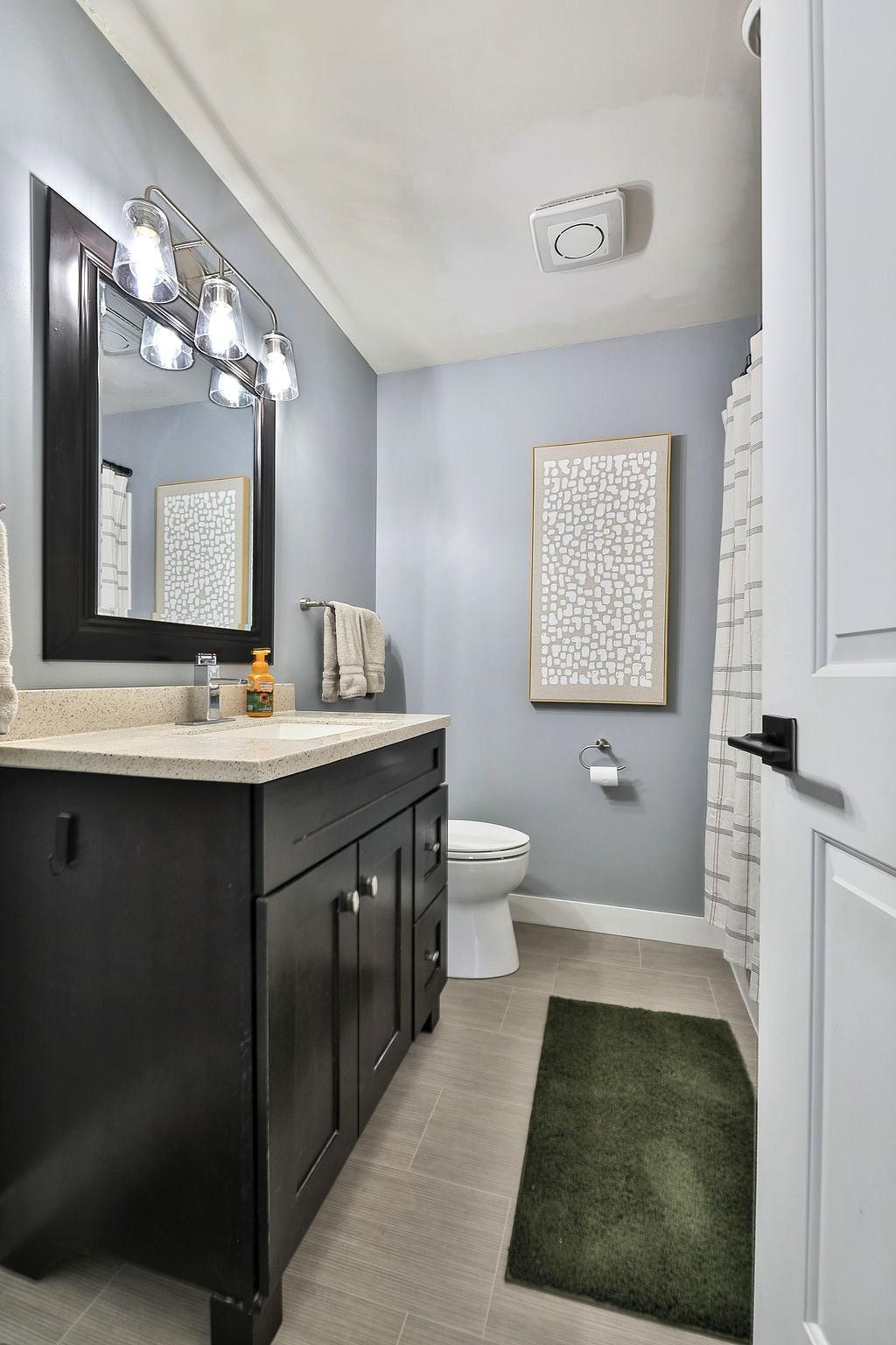 Lower level bathroom