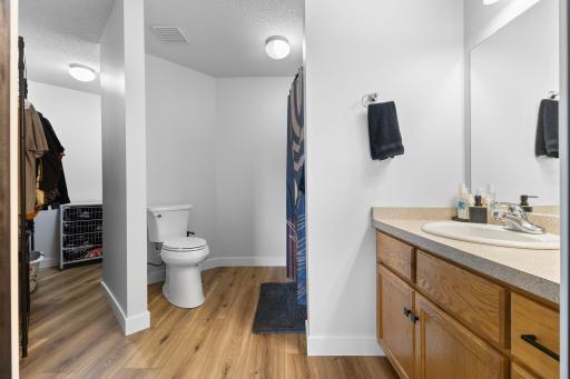 611 Danielson Court, Maple Lake, MN 55358