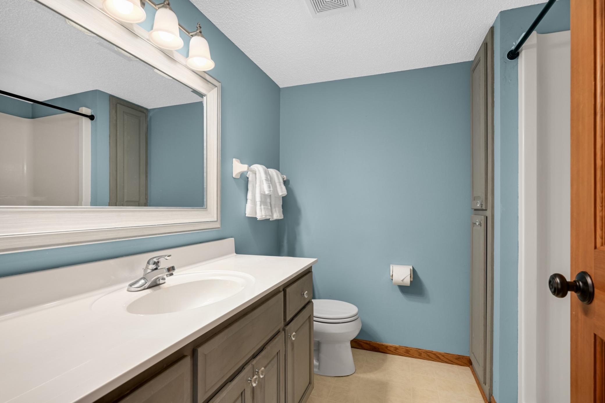 Lower level full bathroom