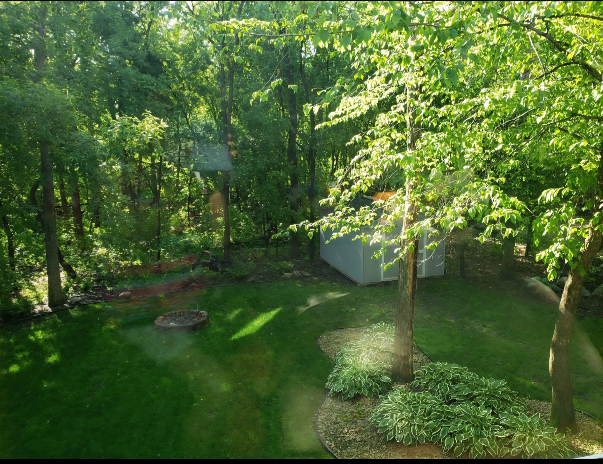 Private backyard with storage shed