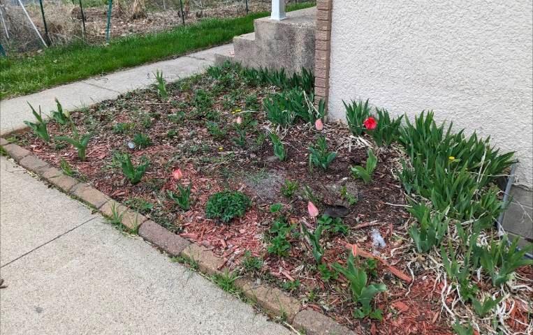 Seller photo of side flower bed