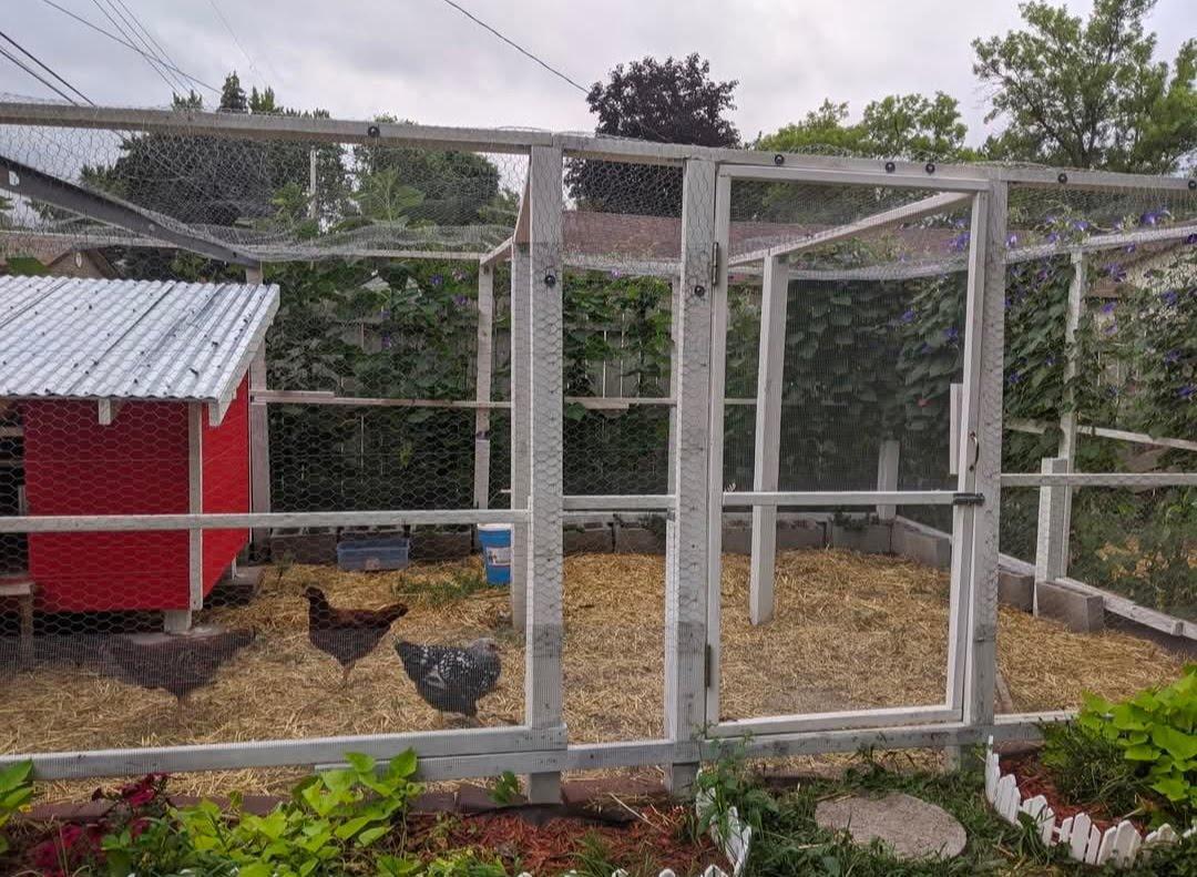 Seller photo of chicken coop