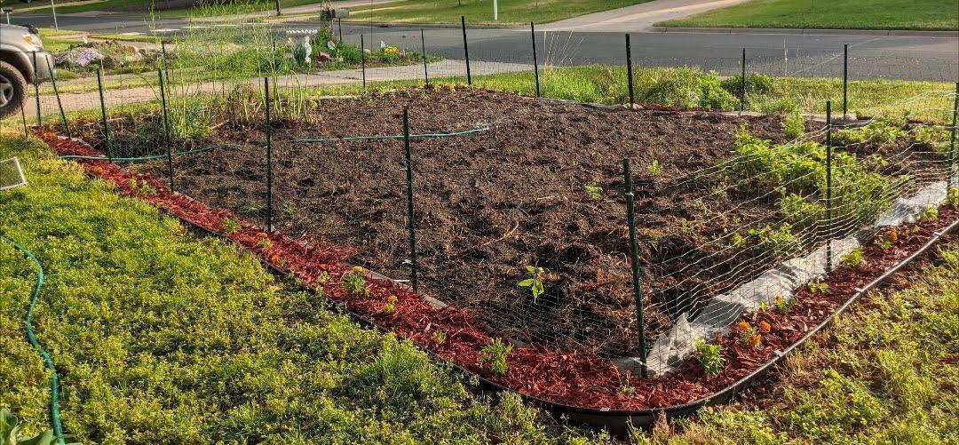 Seller photo of garden