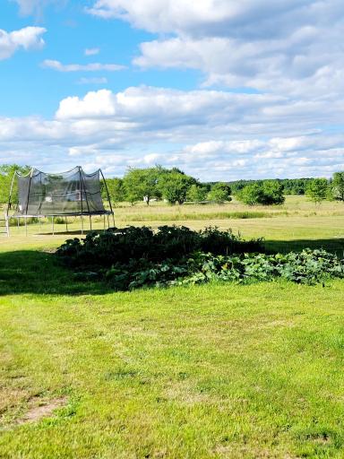 46049 St Lawrence Drive, Perham, MN 56573