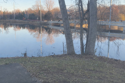 Gorgeous views of Duck Lake