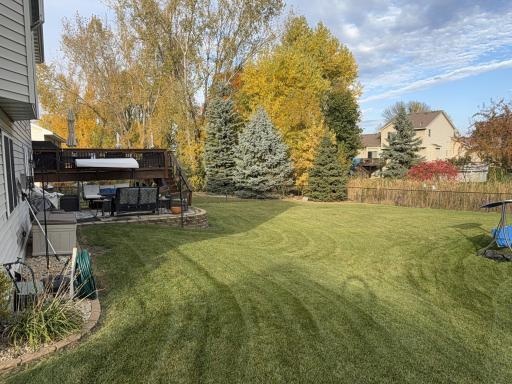 25 Overview of Large Yard.jpg