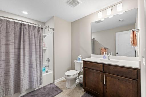 Lower level full bath