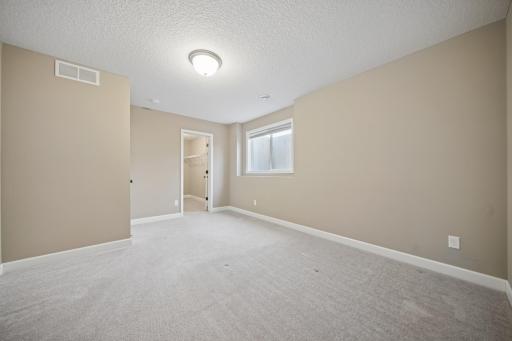 All bedrooms have walk-in closets, even the lower level bedroom!