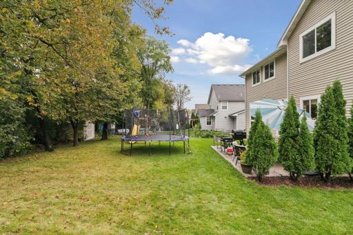 Park-like, flat back-yard with mature tree line