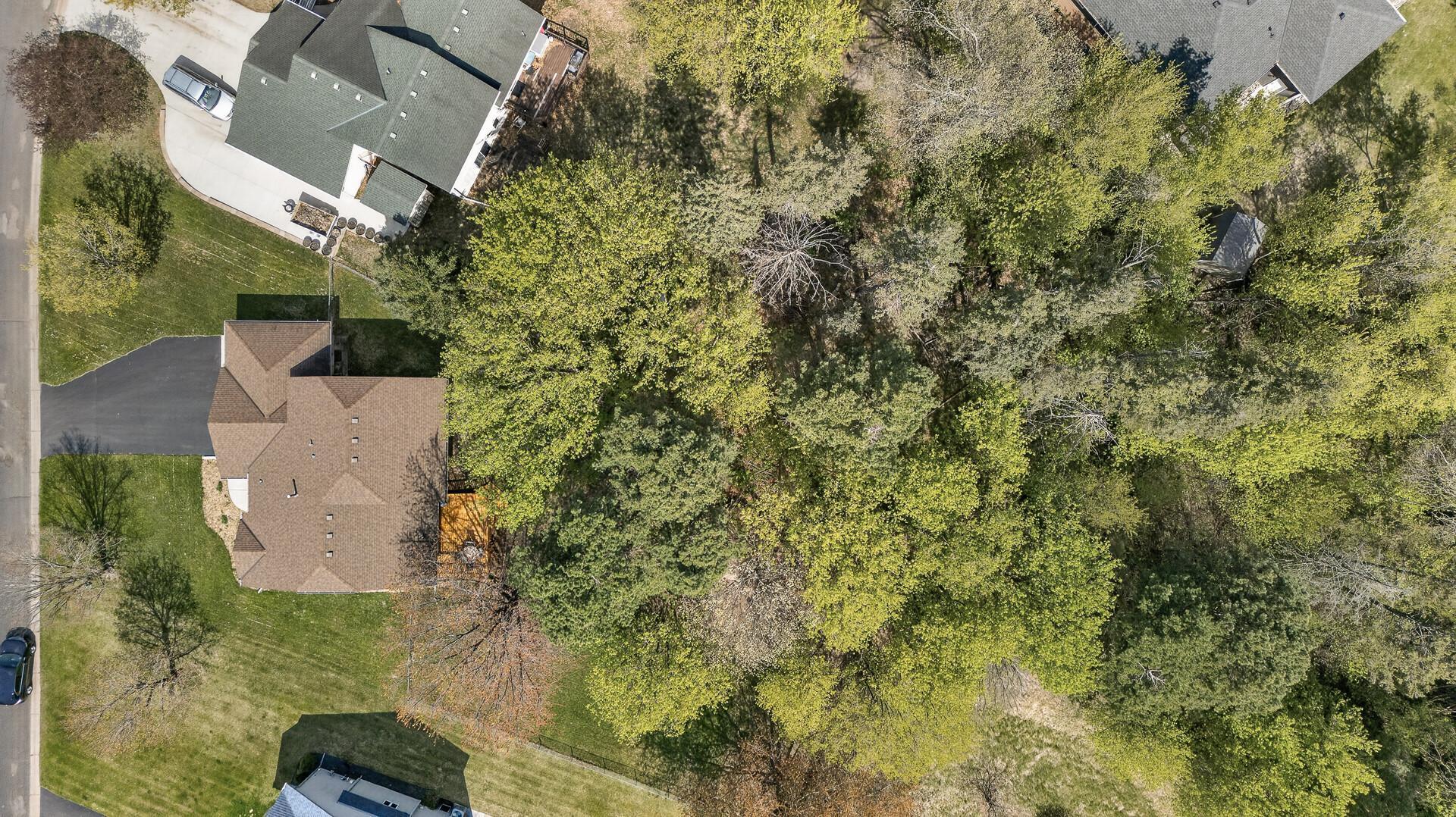 Plenty of mature trees