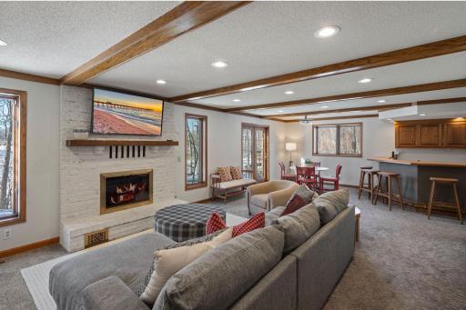 Lower Level Family Room