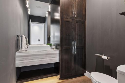 Main floor Guest bath with dramatic custom pendants and under counter lighting. Pantry roll out storage too.
