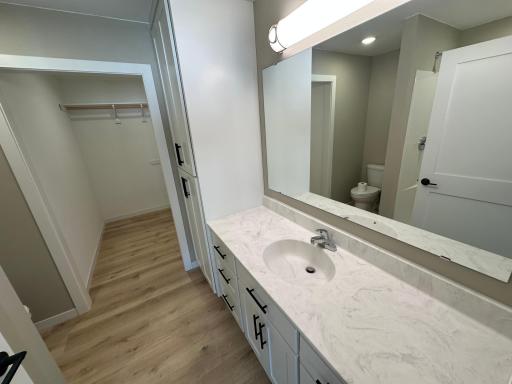 Master Bathroom and Closet
