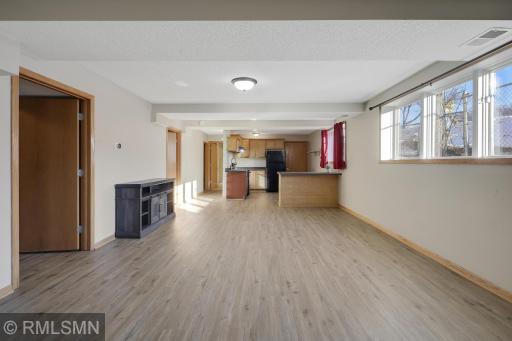 Lower level family room