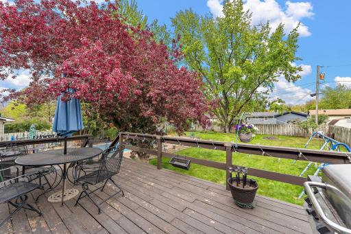 1126 Lincoln Avenue, Saint Paul Park, MN 55071