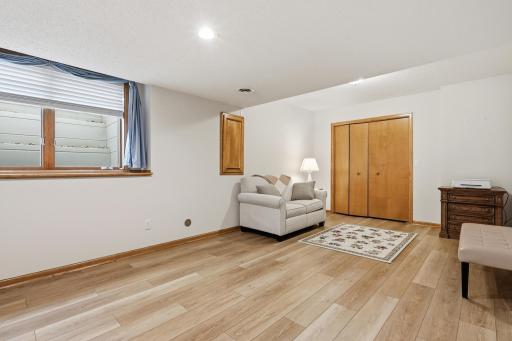 Lower Level Bedroom 3