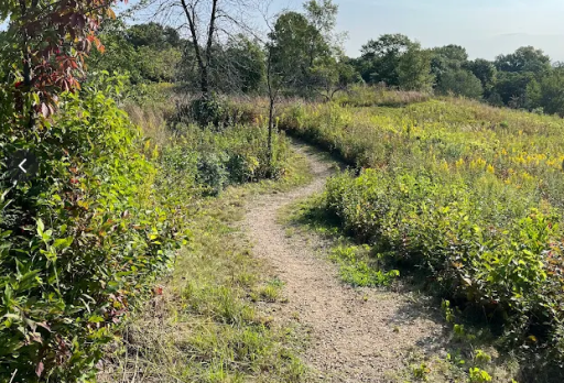 Screenshot 2026-01-21 152449.png