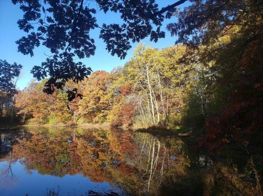 Inspirational Trails in Applewood Park