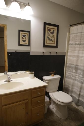 14651 Sapphire Lane, Ramsey, MN 55303