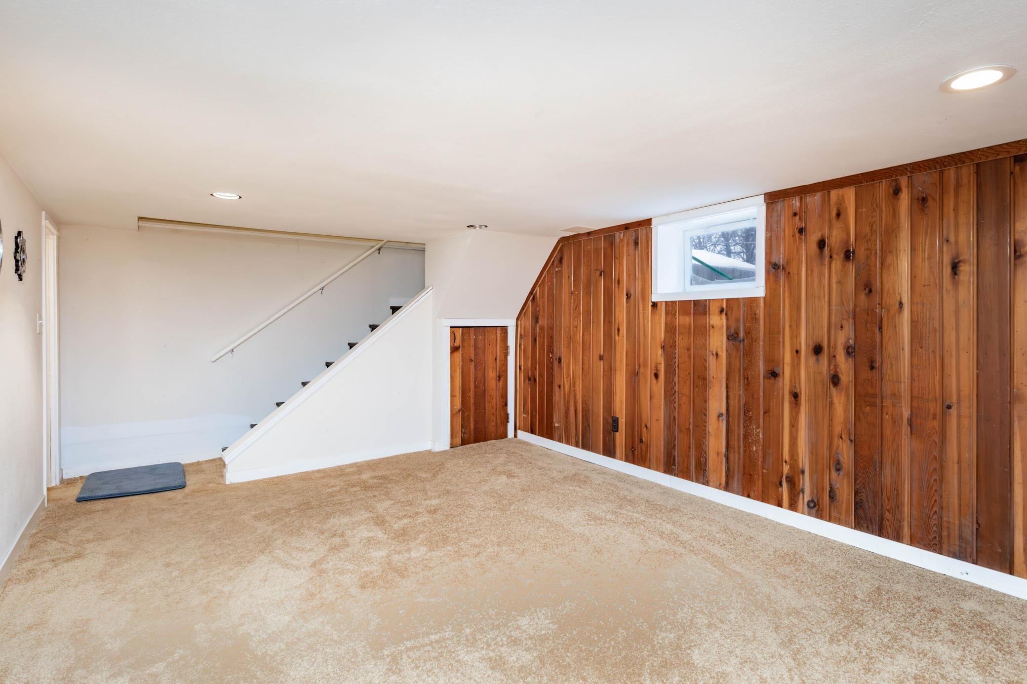 Basement living room