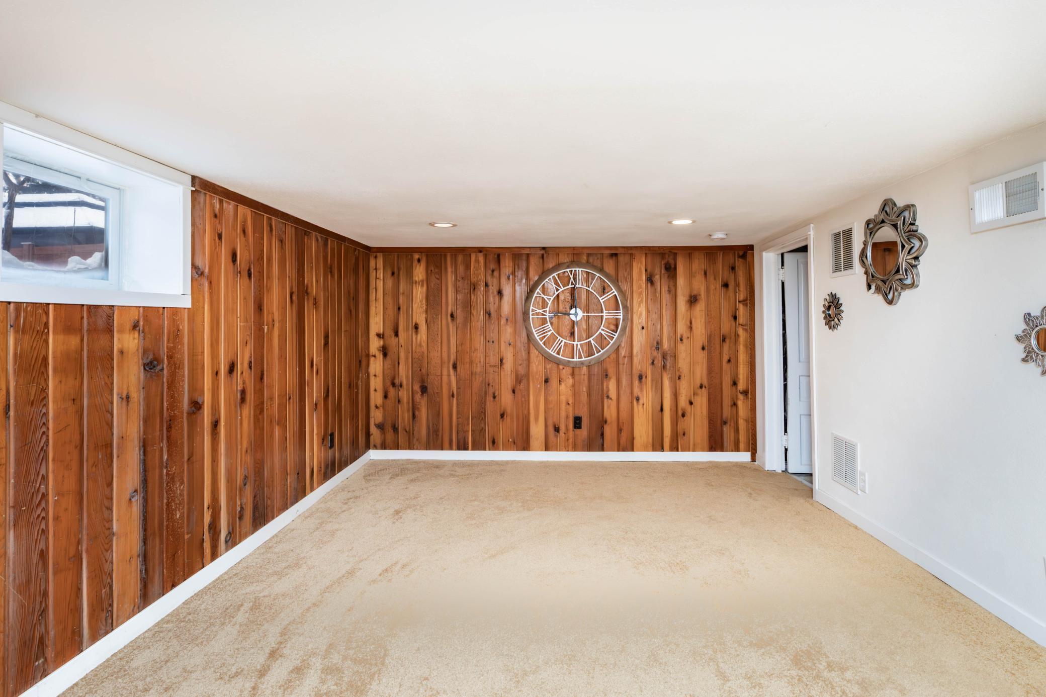 Basement living room