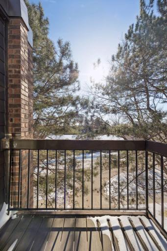 6075 Lincoln Drive, 305, Minneapolis, MN 55436