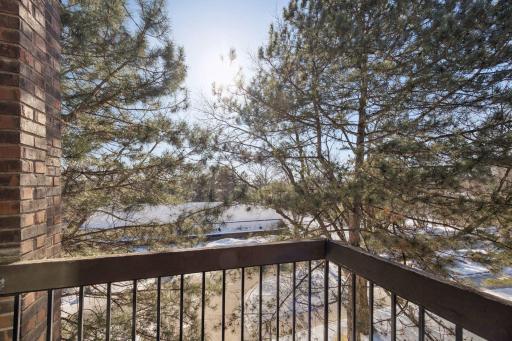 6075 Lincoln Drive, 305, Minneapolis, MN 55436