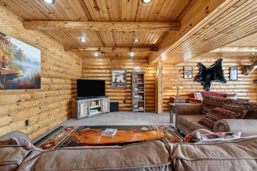 2891 W Todd Park Road, Sarona, WI 54870
