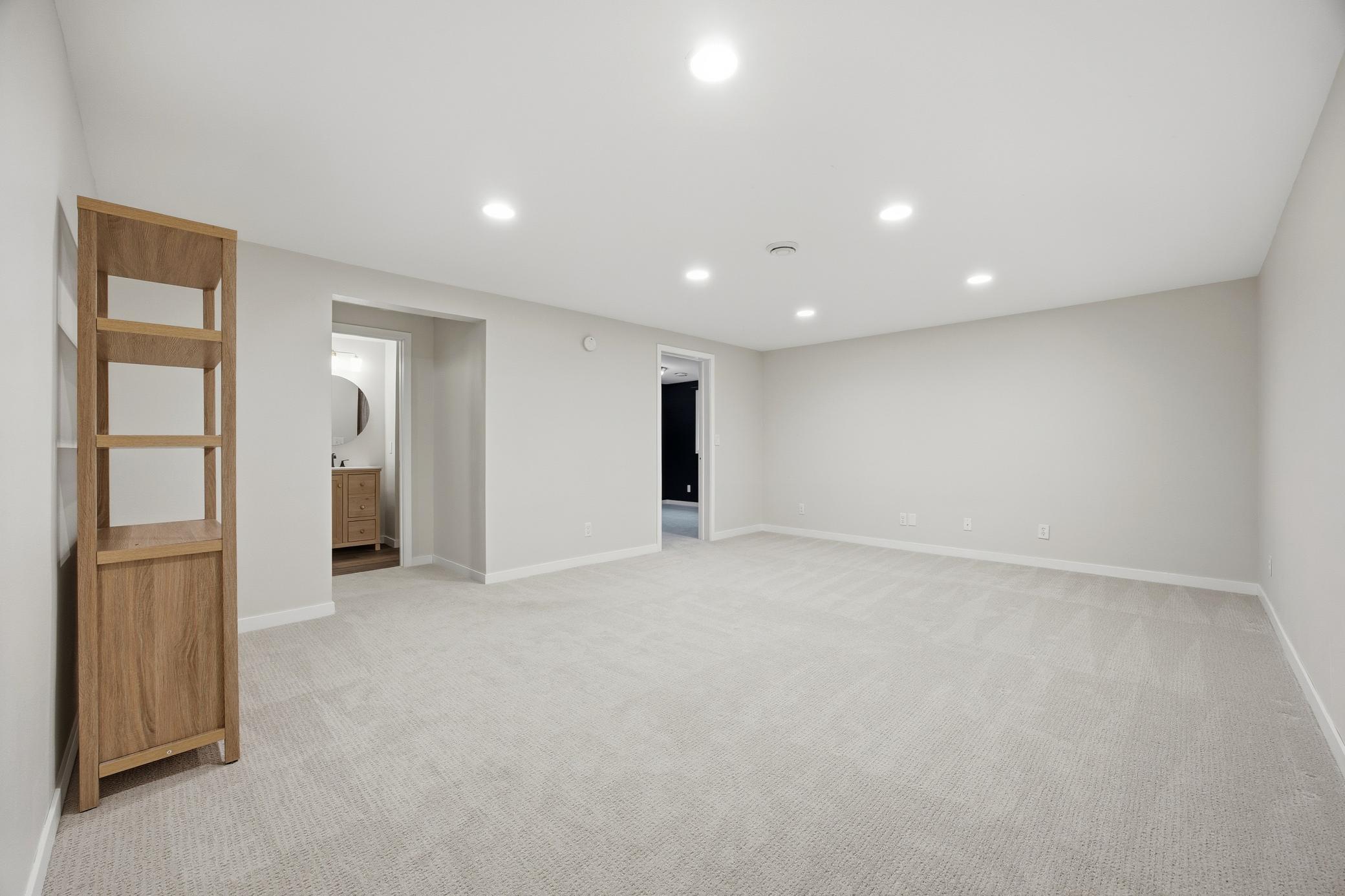 Basement living room