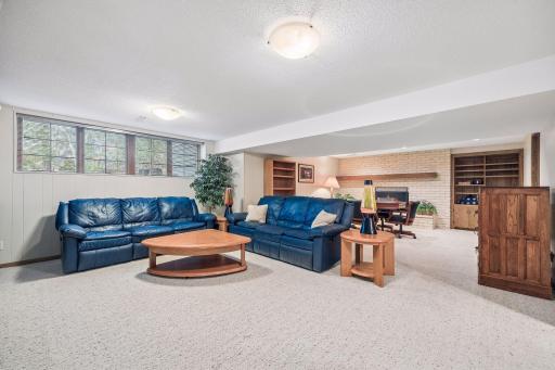 Large Amusement Room for movie nights and game days!
