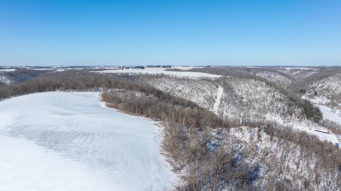 DJI_20260127110416_0183_D.jpg