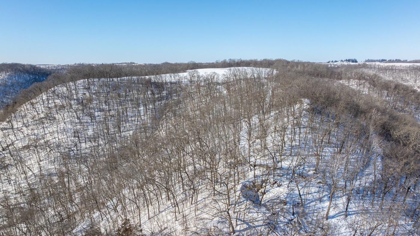 DJI_20260127110647_0185_D.jpg