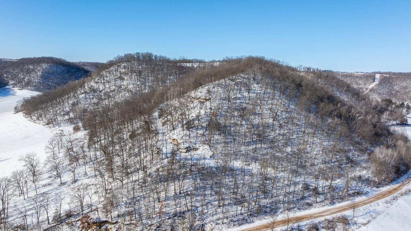 DJI_20260127104905_0146_D.jpg