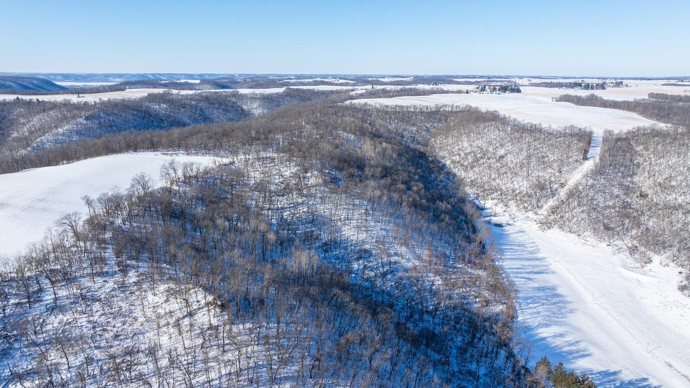 DJI_20260127105341_0160_D.jpg