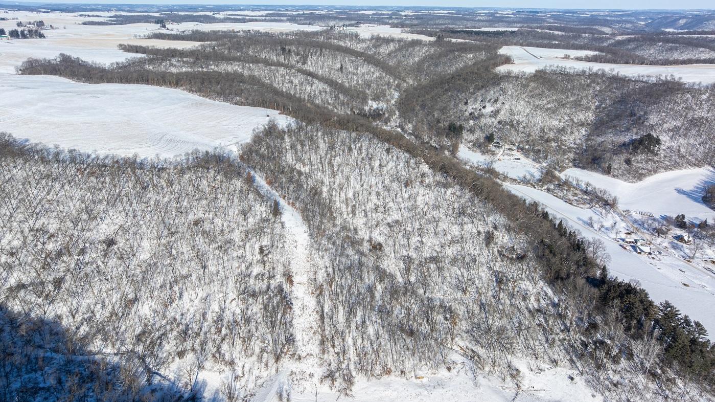 DJI_20260127105555_0164_D.jpg