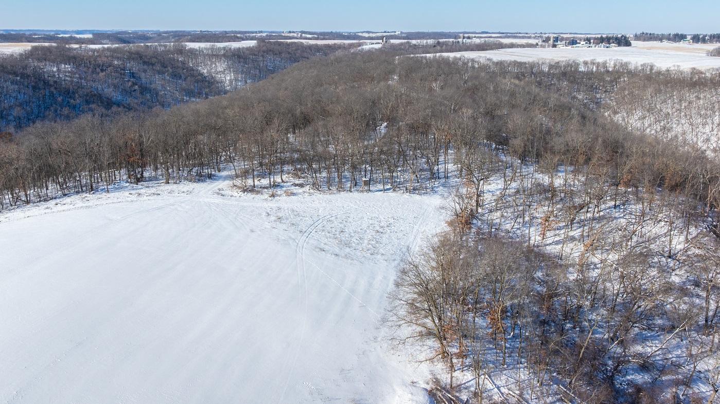 DJI_20260127110221_0180_D.jpg