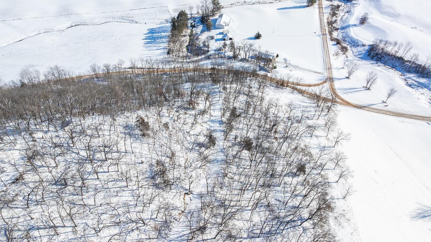 DJI_20260127105207_0154_D.jpg