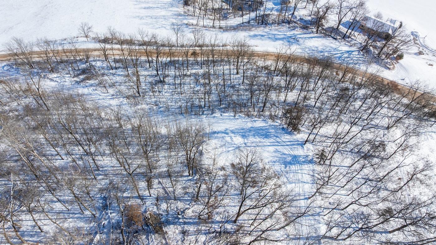 DJI_20260127110637_0184_D.jpg