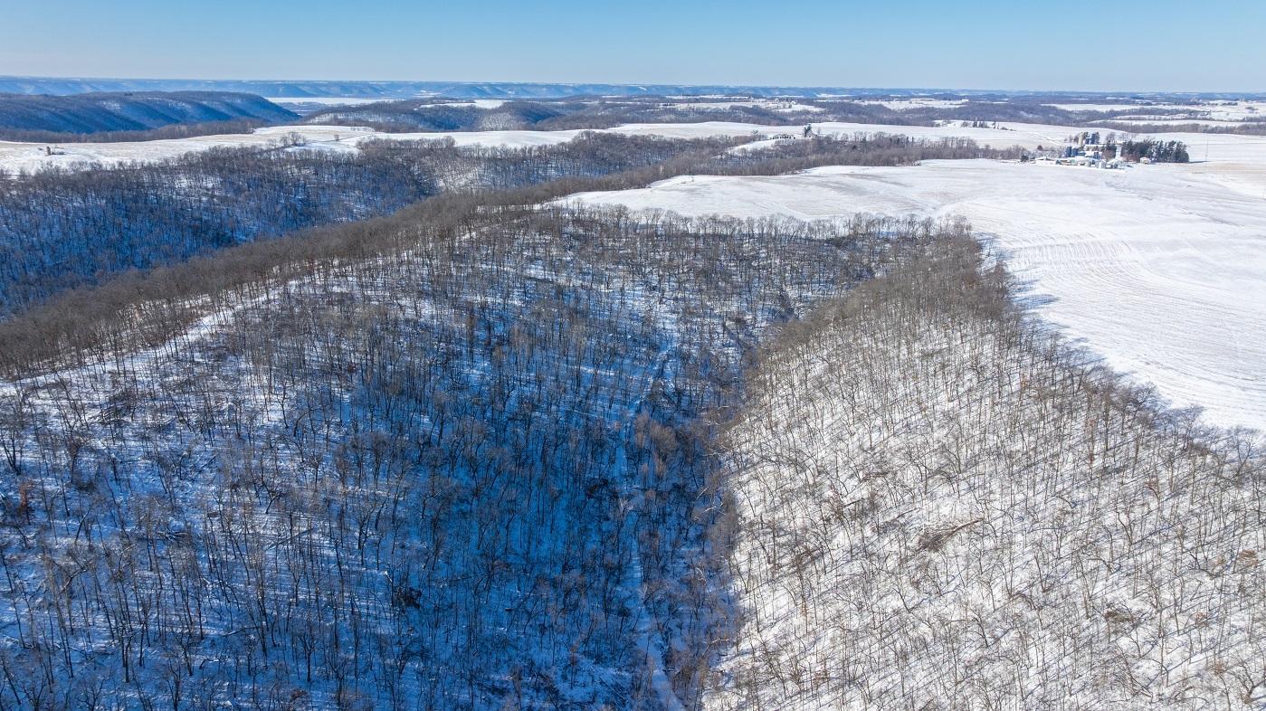 DJI_20260127105901_0173_D.jpg