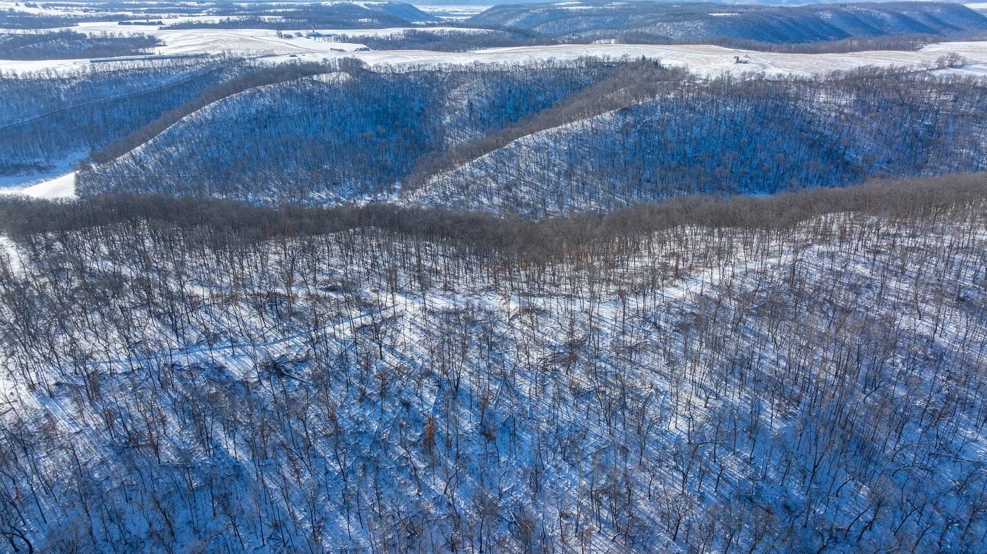 DJI_20260127105922_0174_D.jpg