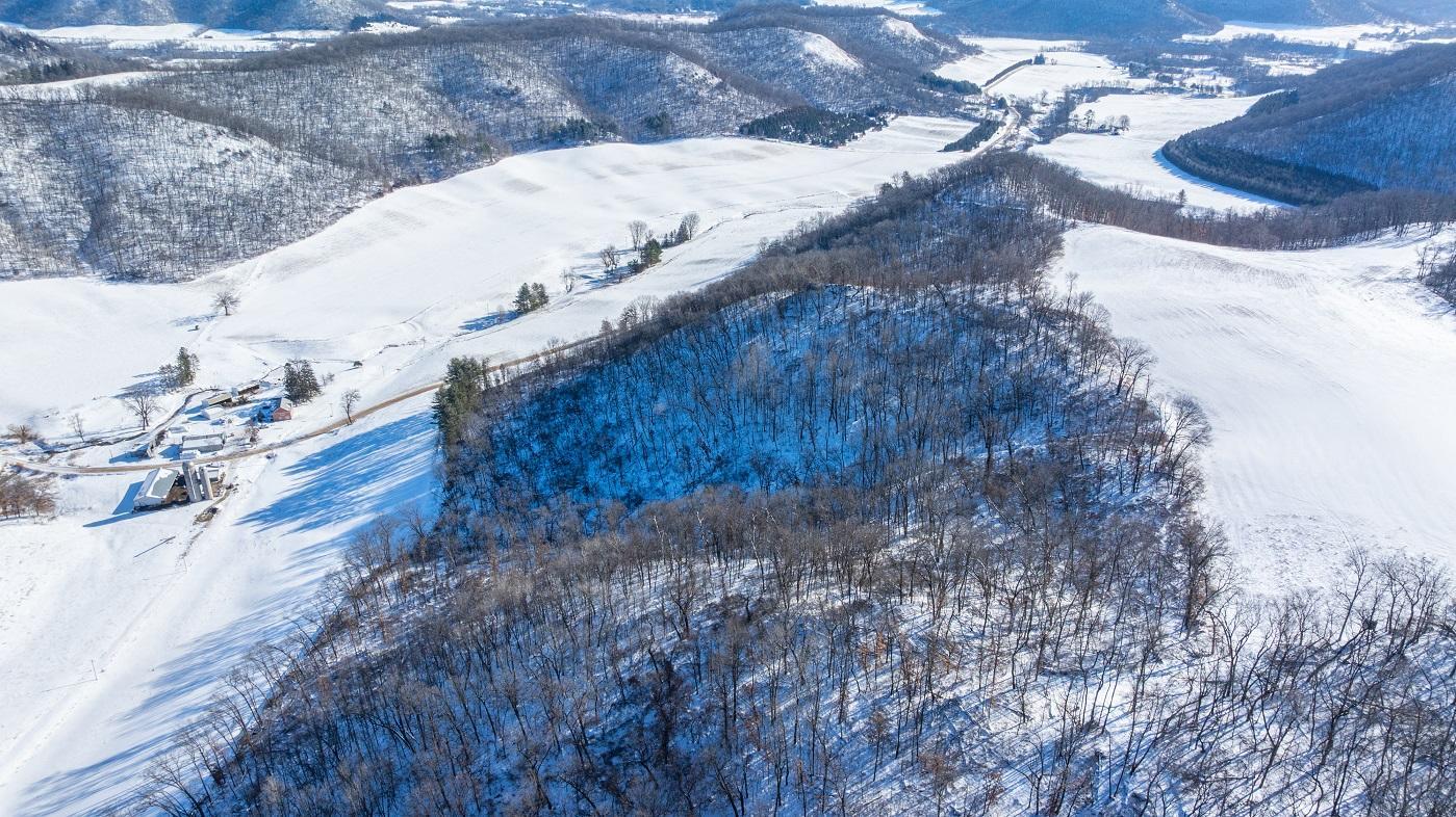DJI_20260127110022_0176_D.jpg